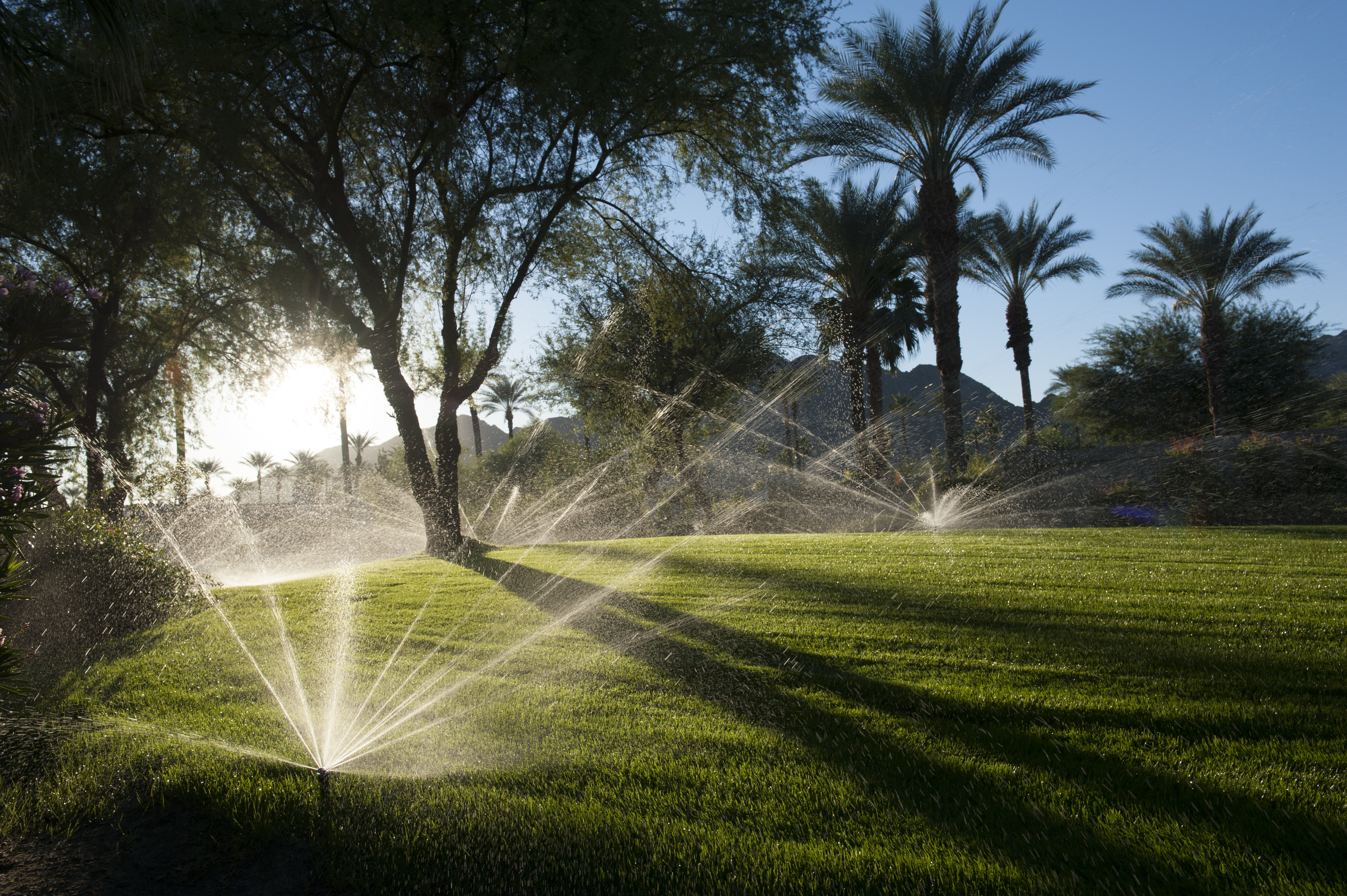 indian_wells_mp
